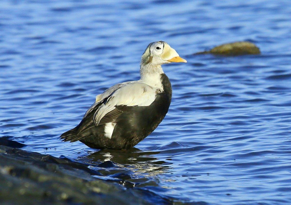 Steven Clinch tweet media