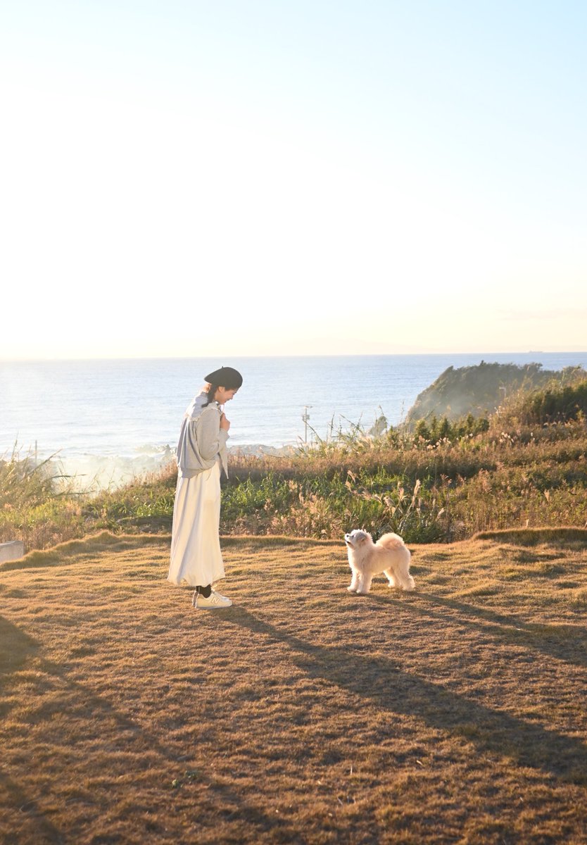 boku_soy's tweet image. かけがえのない時間🐶🍀🫧

毎日大切に過ごそうね✨✨

 #ポメプー  #pomapoo 
 #ポメプーのSOY 
 #プードル  #トイプードル 
 #ポメラニアン  #愛犬家  #愛犬 
 #犬好き  #犬好きさんと繋がりたい  #犬好きな人と繋がりたい  #dog  #DogLife  #Nikon  #NIKON  #Zfc 
 #カメラ