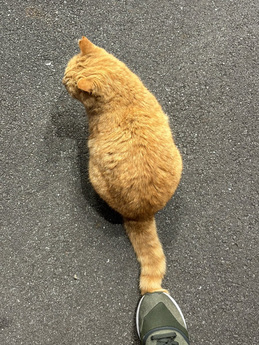 すず💜ちゃん (@suzuran5suzuran) / Posts / X