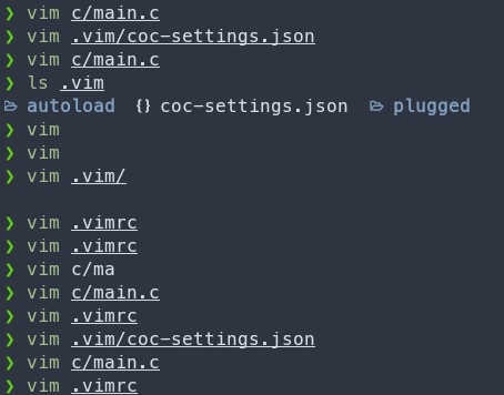 celizte's tweet image. i am going insane

can someone help me with ts i am going to explode,

so basically y'know how vscode autocompletes code when you press enter and it skips the comma when you type it and stuff bc it's already typed and same for the closing parentheses????

well how the hell