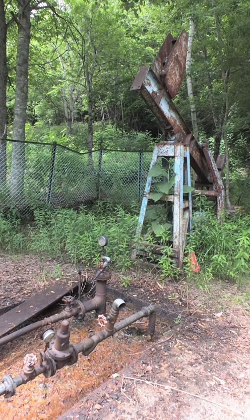 秘境通のなべ tweet media