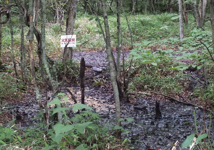 秘境通のなべ tweet media