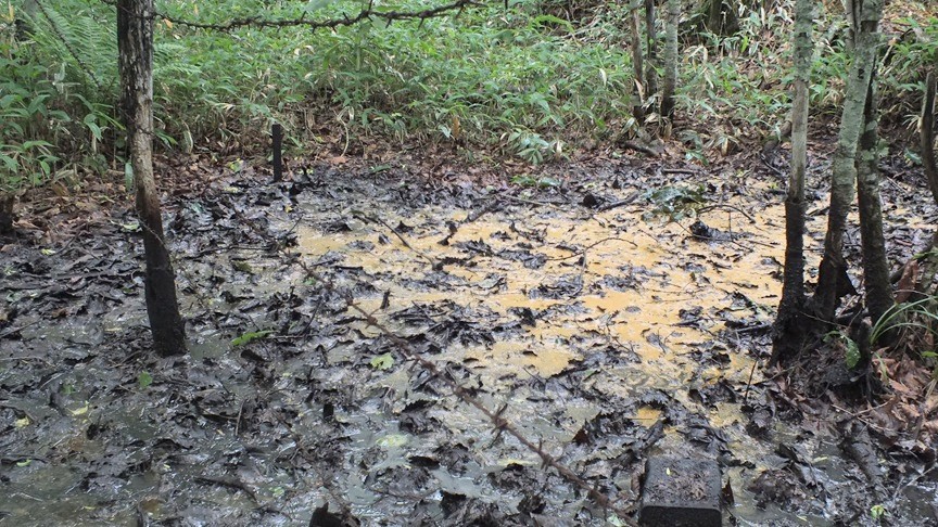 秘境通のなべ tweet media