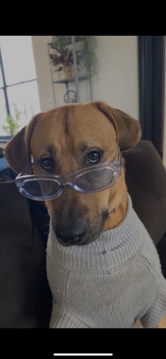 Bruno_pozy's tweet image. GM EVERYONE 
GM @Alaouicapital 
GM @playmatejaylene 

TO DO LIST FOR TODAY 
1️⃣ I will be making more research about @openmind_agi OM1 and it’s function to the project.

2️⃣ I will be trading and connecting with all those supporting @pip_world 

3️⃣ I will be pushing out more…