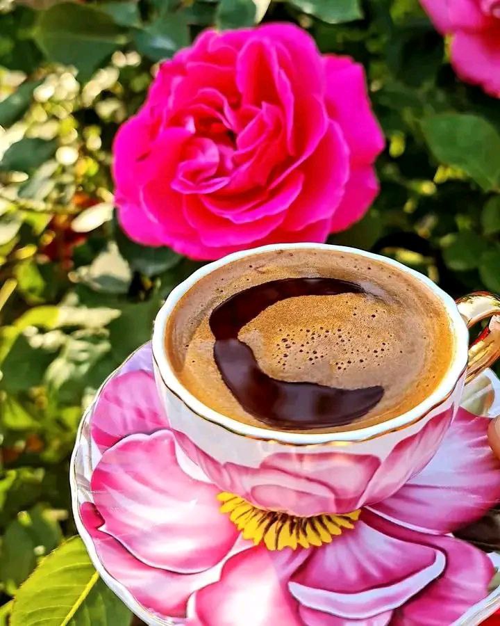 ℓιℓιαη 🦋☕ tweet media