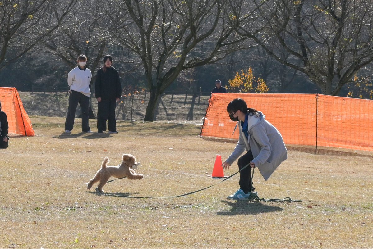 tbcpet's tweet photo. 🐶ドッグトレーナー&amp;アニマルケア学科🐶
先日ディスクドッグ大会を開催しました🥏
会場設営・競技MCも行いました！
日頃の練習の成果を発揮することができました✨
#tbcpet 
#国際ペット総合専門学校
#ドッグトレーナーアンドアニマルケア学科
#ハイパーフライトジャパン https://t.co/7bPvIcMSD3