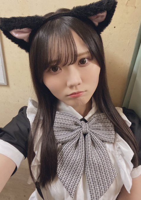 にゃんこメイドカフェ にゃんさんぶるのツイート