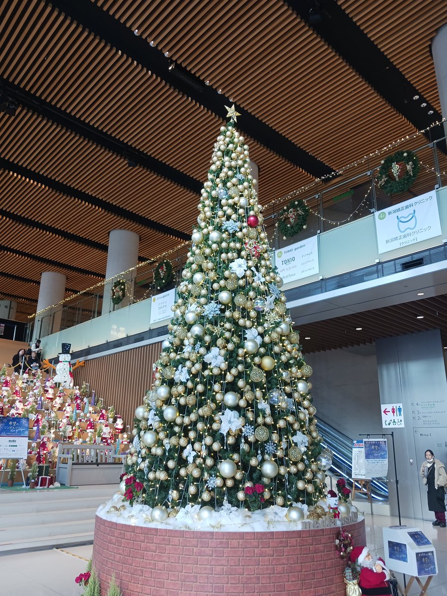 来週はもう クリスマスねー