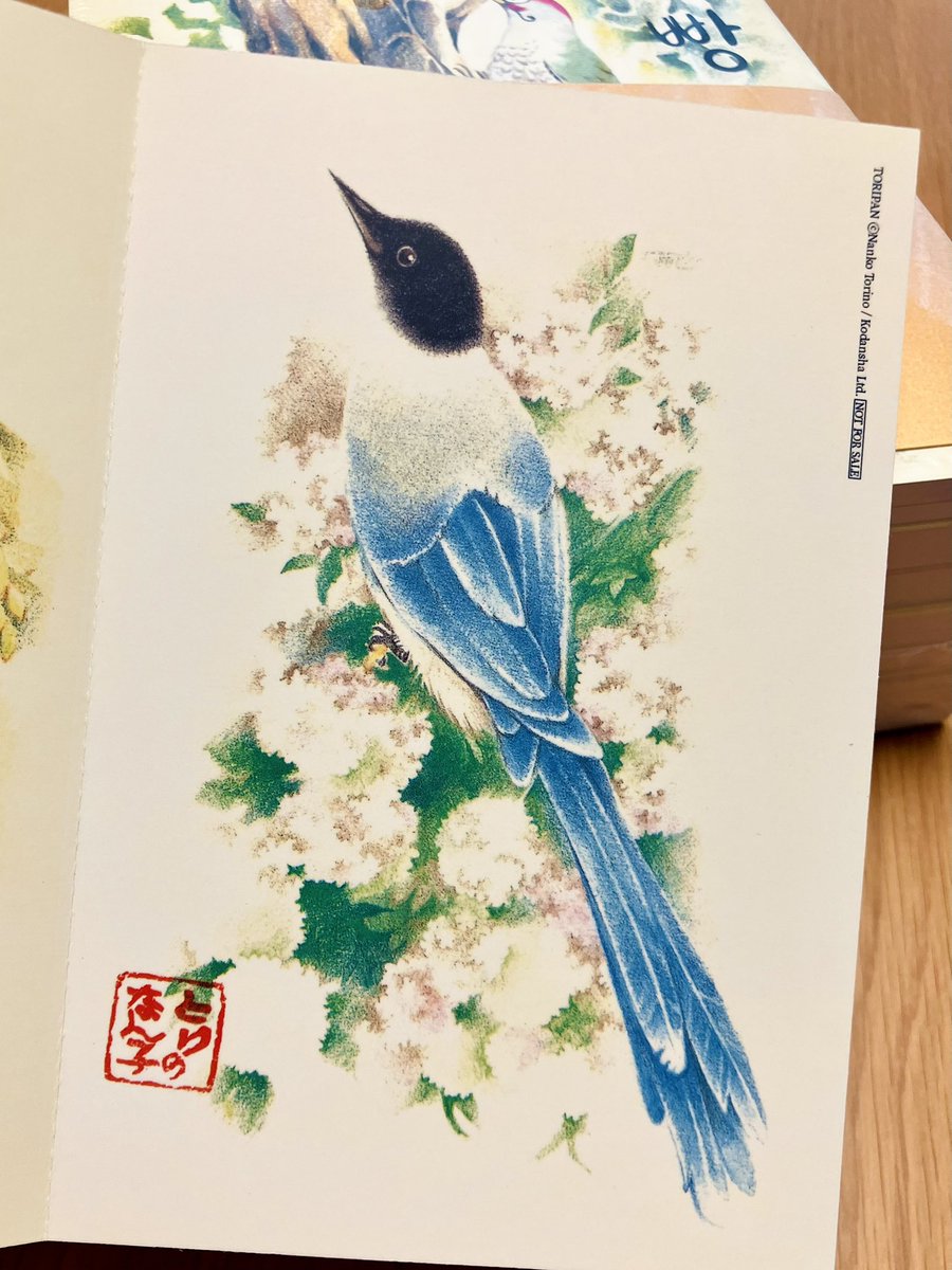 기다리던 책이 왔다! 너무 예뻐👏