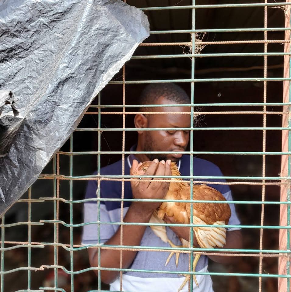 🚀 MEET OUR #YOUTH4NUTRITION CHAMPION!
💡 Gerão Panda Nunes 🇦🇴

📖 Biologist &amp; Master's student in Animal Nutrition &amp; Production, turning knowledge into action! His work proves youth are key to building resilient food systems. 
#Youth4Nutrition