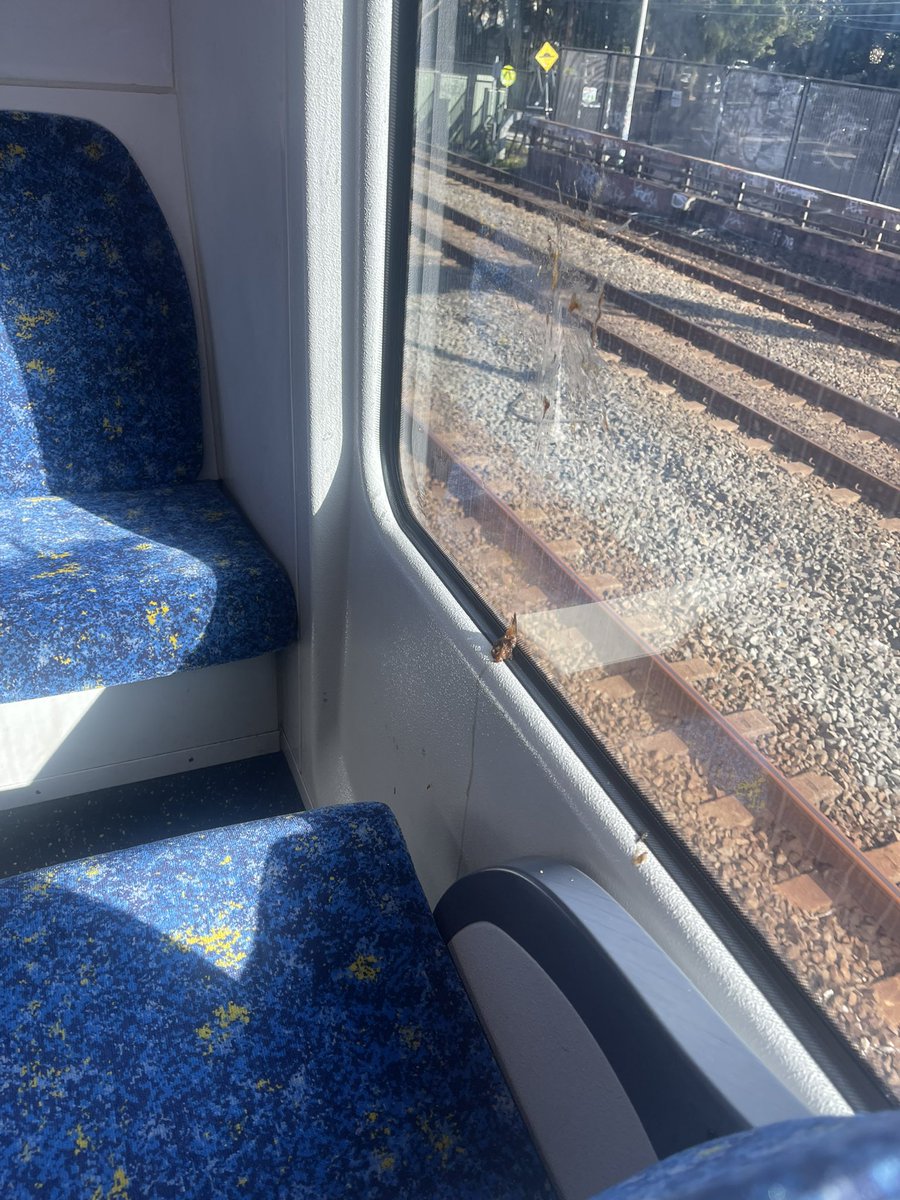 thenetteffect's tweet photo. @TrainsInfo dirty carriage on Parramatta line, 8:09 from central, someone thought throwing food at the inside window was a good idea 🤷🤷 https://t.co/LLVIIFtbdb