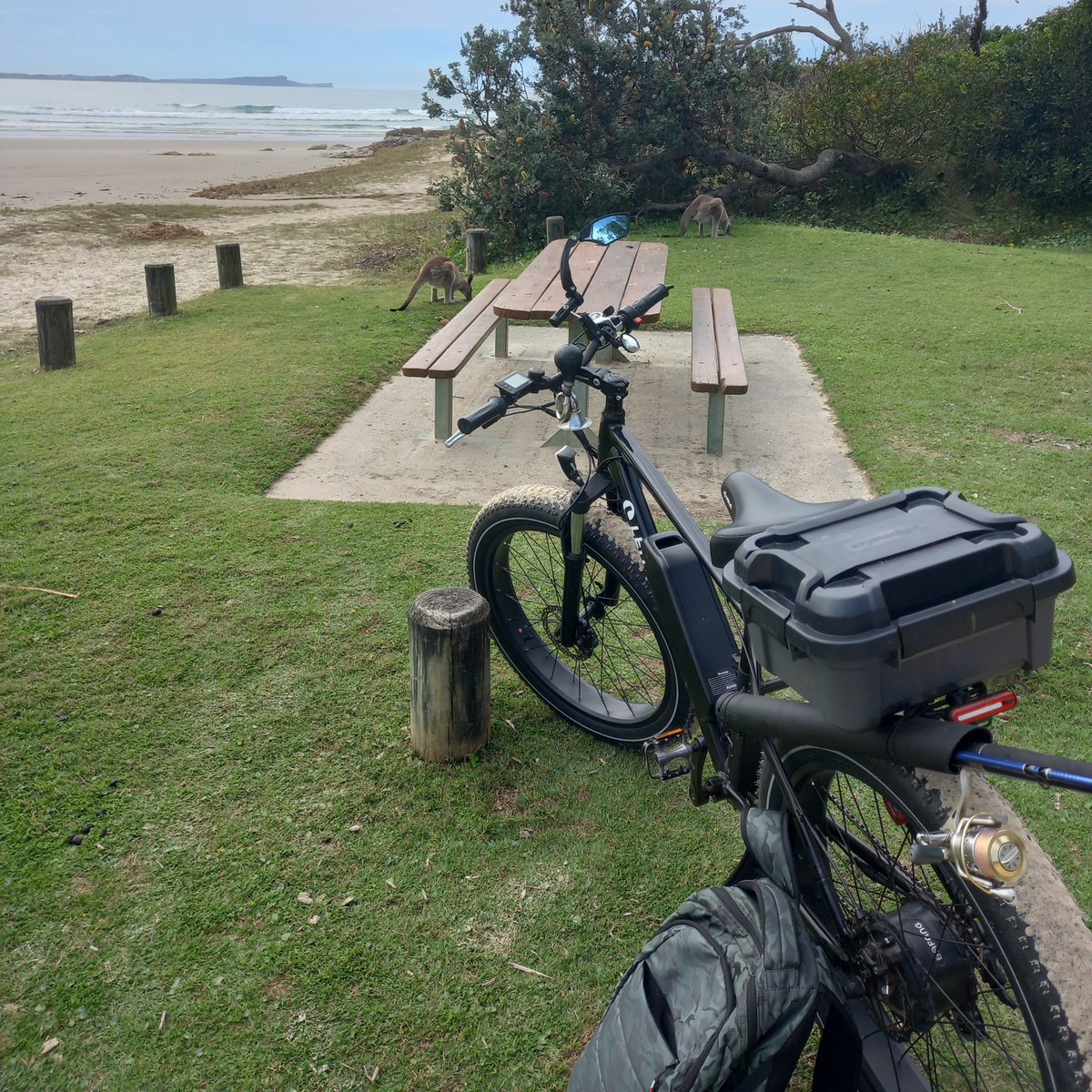 Leitner eBikes tweet media