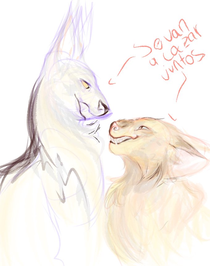 N0Palillo's tweet photo. Humanformer y catformer breakbee si
#breakbee #catformers #humanformers https://t.co/I7LhHAow9X