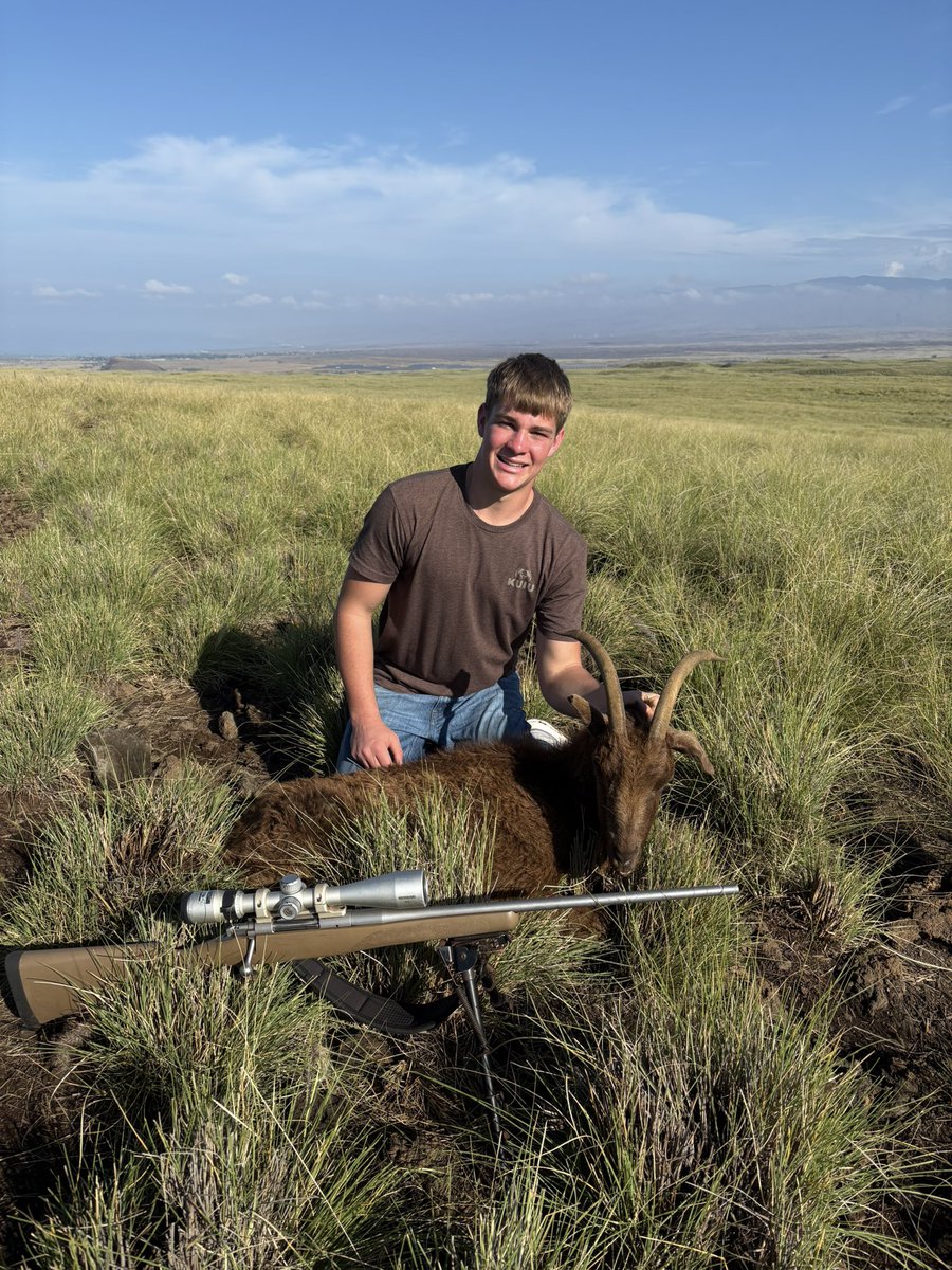 Matt Niemeyer tweet media