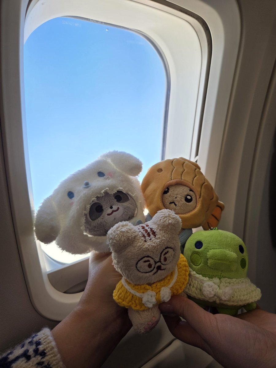 lucya_ucya's tweet image. 제주에 다녀왓더요〰️
3일동안 귤도 3키로 먹고 재밋섯다 긋치 ?¿