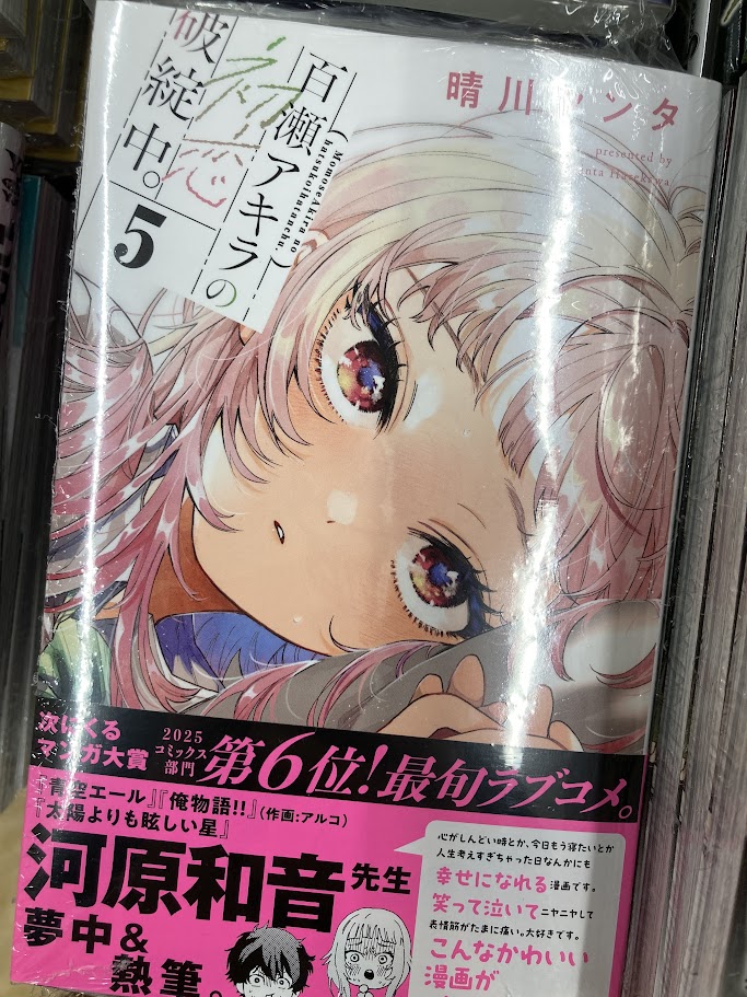 📚書籍入荷情報📚】 「百瀬アキラの初恋破綻中。(5)」 🎁アニメイト
