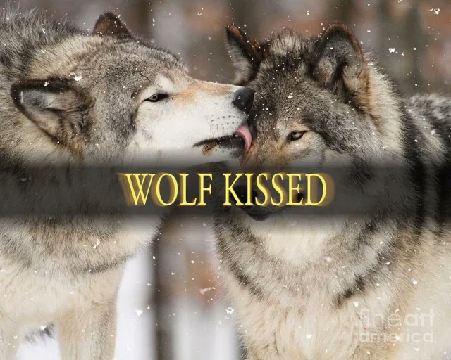 JimmyBelvins's tweet image. good night anon