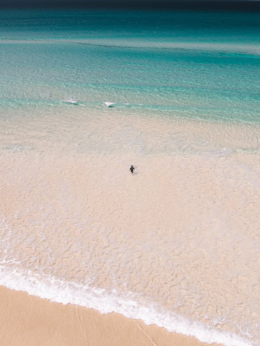 North Stradbroke Island tweet media