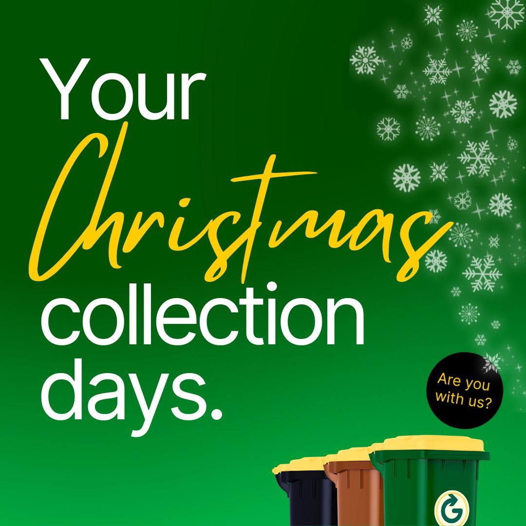 GreyhoundHousehold tweet media