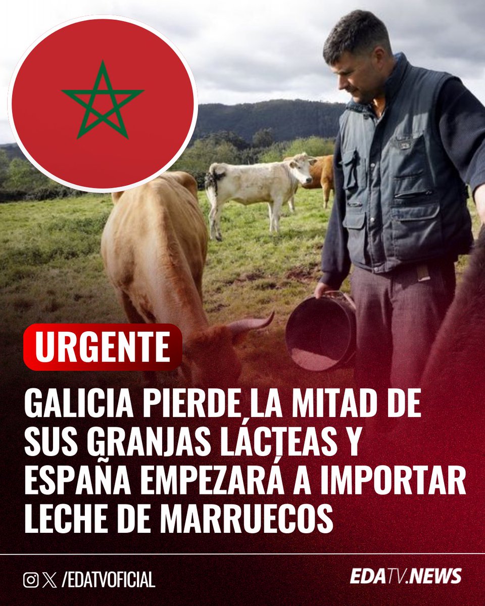 BOICOT A LOS PRODUCTOS DE MARRUECOS 
CONSUME PRODUCTOS ESPAÑOLES 🇪🇦🇪🇦🇪🇦🇪🇦🇪🇦🇪🇦
