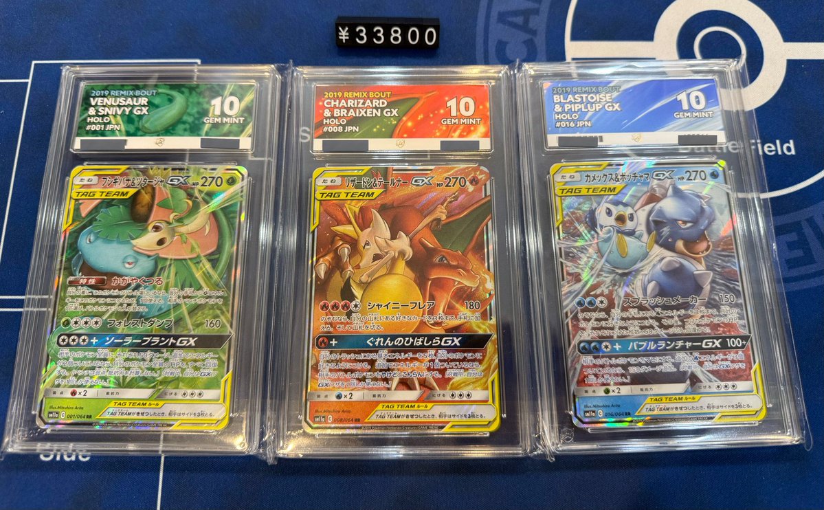 ACEグレーディング 10 フシギバナ&ツタージャGX リザードン&テールナー