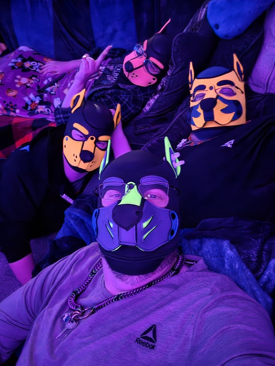 Pup_Tizzy's tweet image. Fallout premiere night, I think we have a bunch of Dogmeat fans.  💚💜🥰