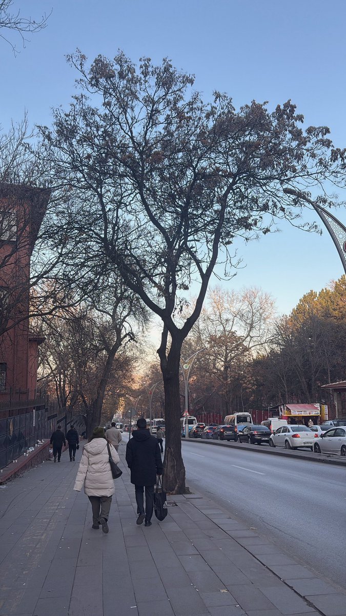 Ya nolur trafiksiz birgün olsunnnn