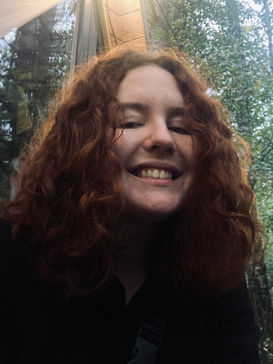 Мезозойний креокласт tweet media