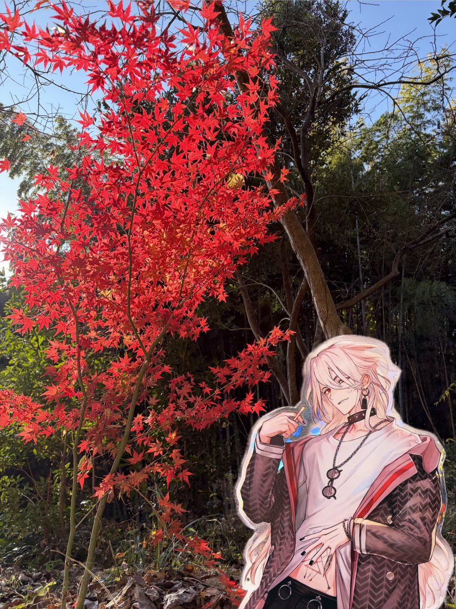 紫音は合成なんだけど、背景も紫音も綺麗