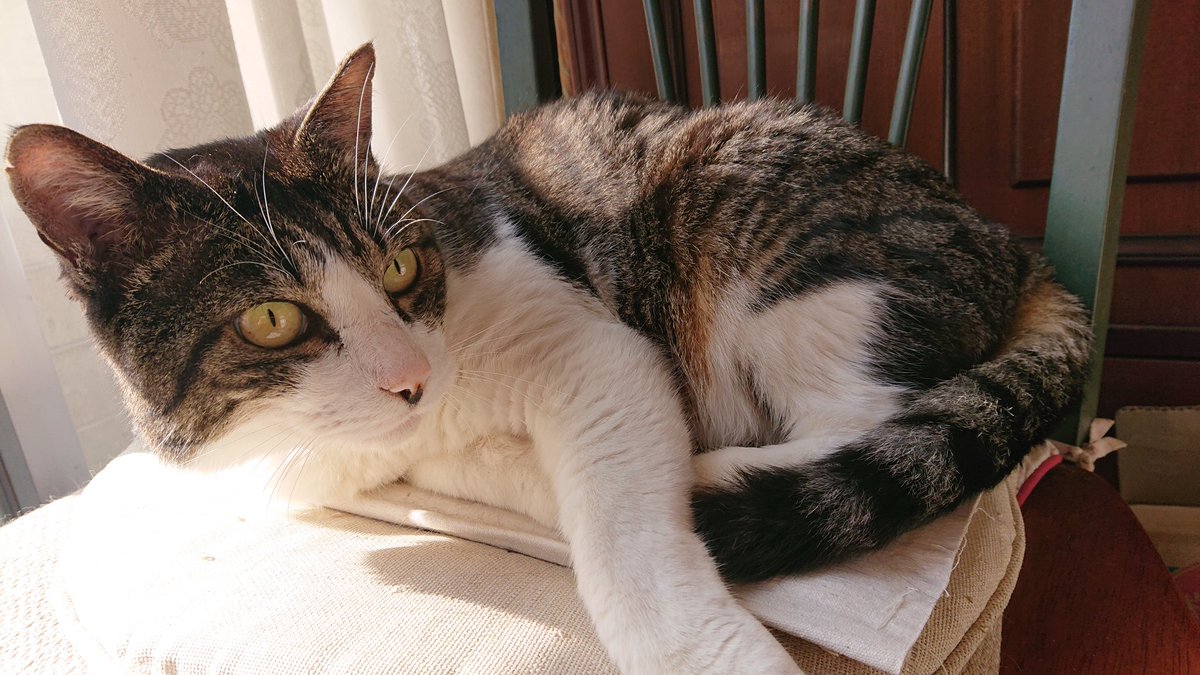 しごおわ🐸 帰宅しました🏠🚗³₃ 今日は朝から 誕生日のお祝いコメント