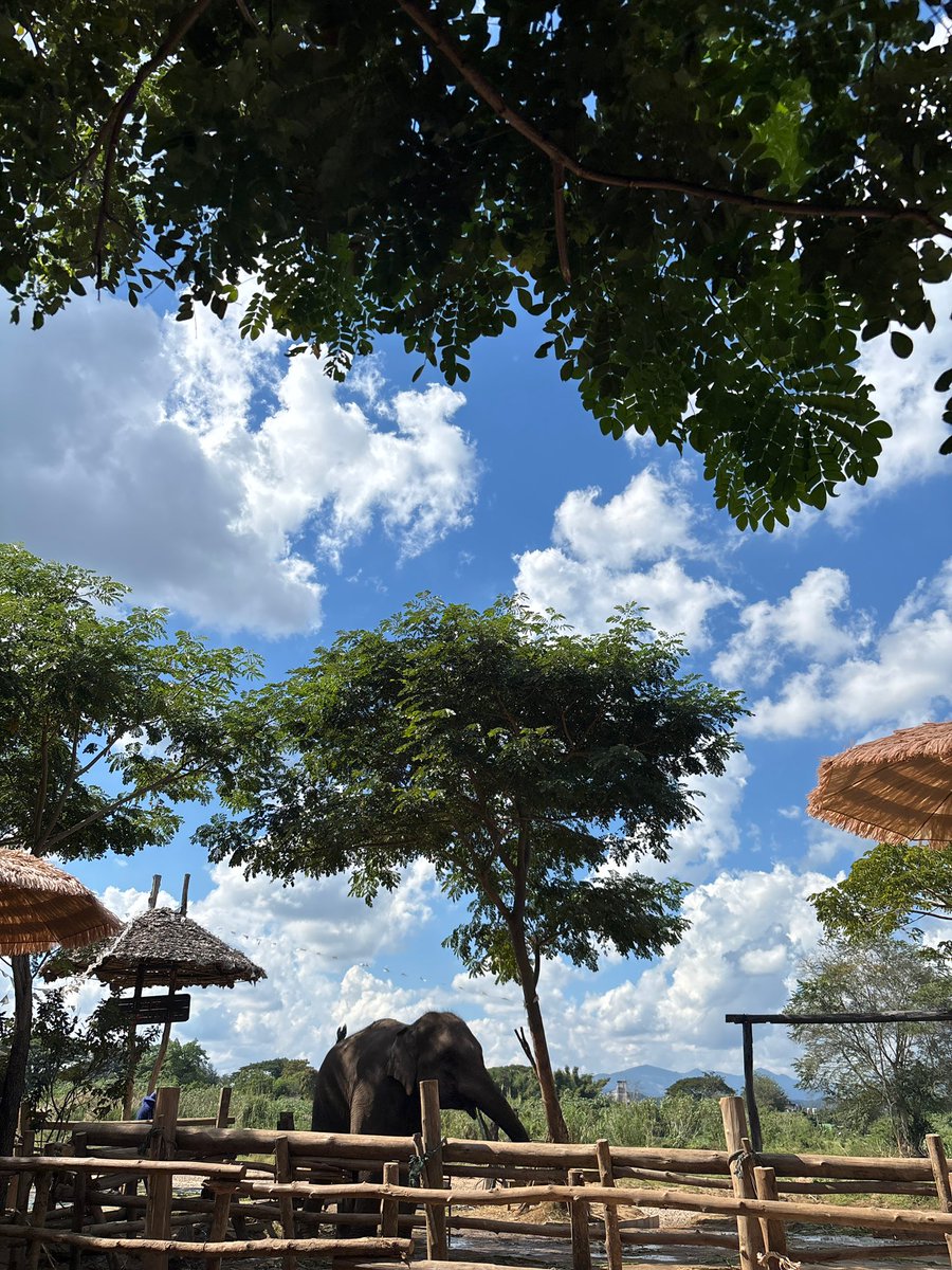 其实在这样一个环境下
已经没有所谓的kol和投研存在
我早就看透了这一点
这也是我并不在乎公域流量
而转向私欲流量的行为

因为我知道投研分析项目
每个人都会看着数据嘟囔几句
没啥意义 数据都是公开透明的 
顶多我会比你检查下智能合约 
和看看项目方的深层动态
只要不是傻逼能看投融网