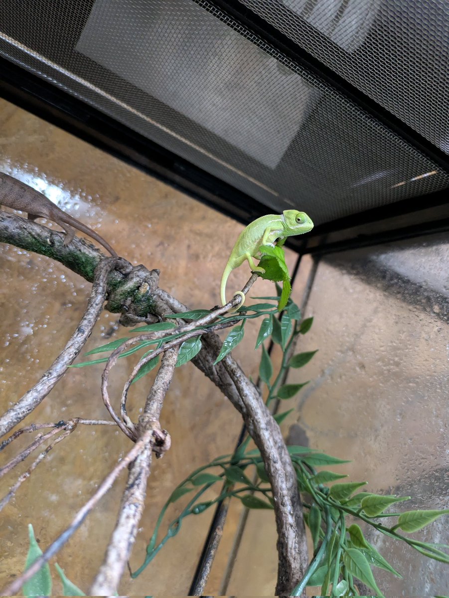 ももれおん😺 (@momoleon2357) / Posts / X