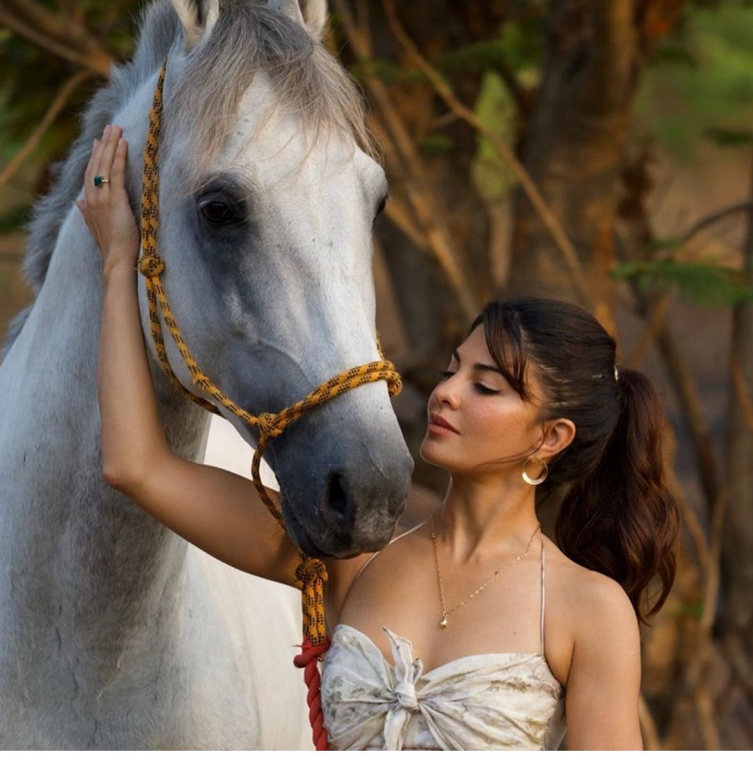 हाल ही में “हिंदू हृदय सम्राट” घोषित की गई जैकलीन फ़र्नांडीज़ को महाठग सुकेश चंद्रशेखर द्वारा गिफ्ट किया गया 52 लाख रुपये का अरबी घोड़ा आखिर अब कहाँ है?

मीडिया रिपोर्ट्स के अनुसार इस घोड़े को प्रवर्तन निदेशालय (ED) ने ज़ब्त कर लिया था।
लेकिन इसके बाद घोड़े की वर्तमान स्थिति को