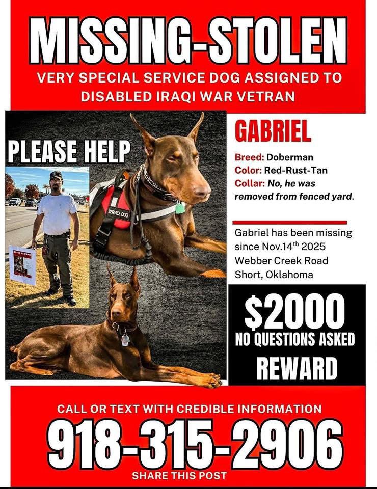 Share and help bring him back to his owner!