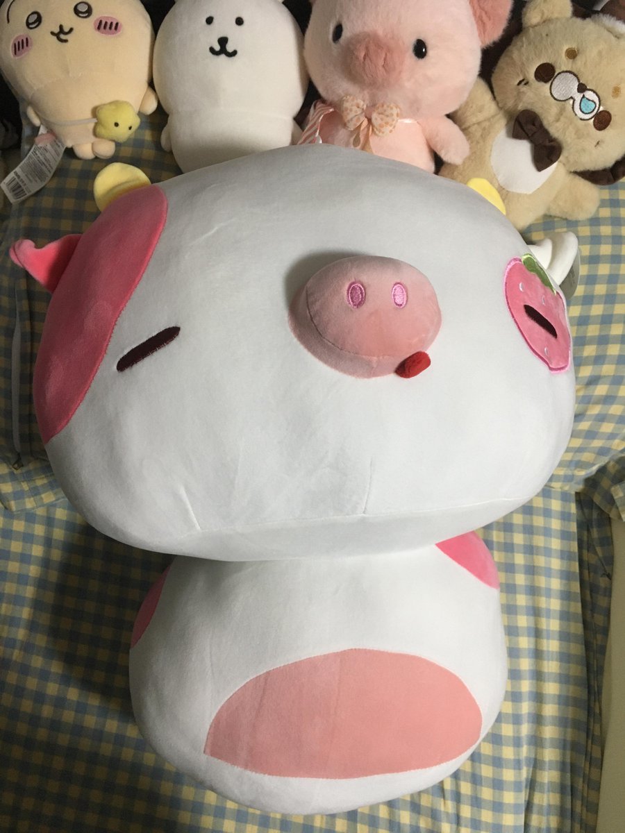 ChavanImran's tweet image. かわいい子たち😊