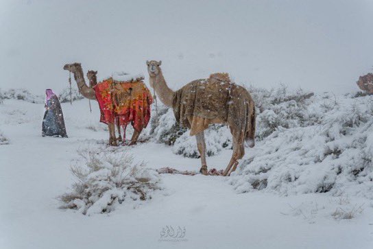 يا اهل حائـل هي حقيقة او خيال 🤯♥️❄️؟