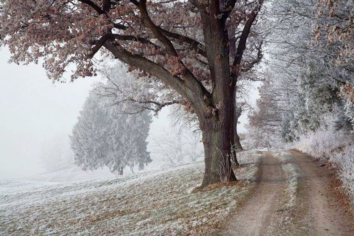 GaiaSerenity's tweet image. 