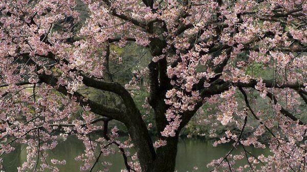 GaiaSerenity's tweet image. 