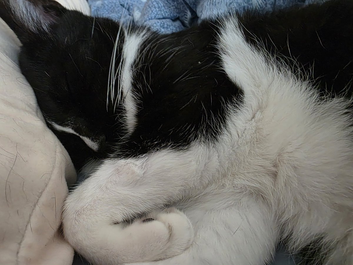 #TRPG_트친소

성인여성 CoC 위주 DX3 미숙인 로찬이라고 합니다 :)
최근 관심사와 주력은 은닉 CoC랑 더블크로스 이지만 다른 분들과 티알 이야기를 많이 나눌 수 있으면 좋겠어요!

보이드, 토고스마(도쿄 고스트 마티카), 푸르가토리움의 밤 위주로 버닝합니다! 잘부탁드려요!