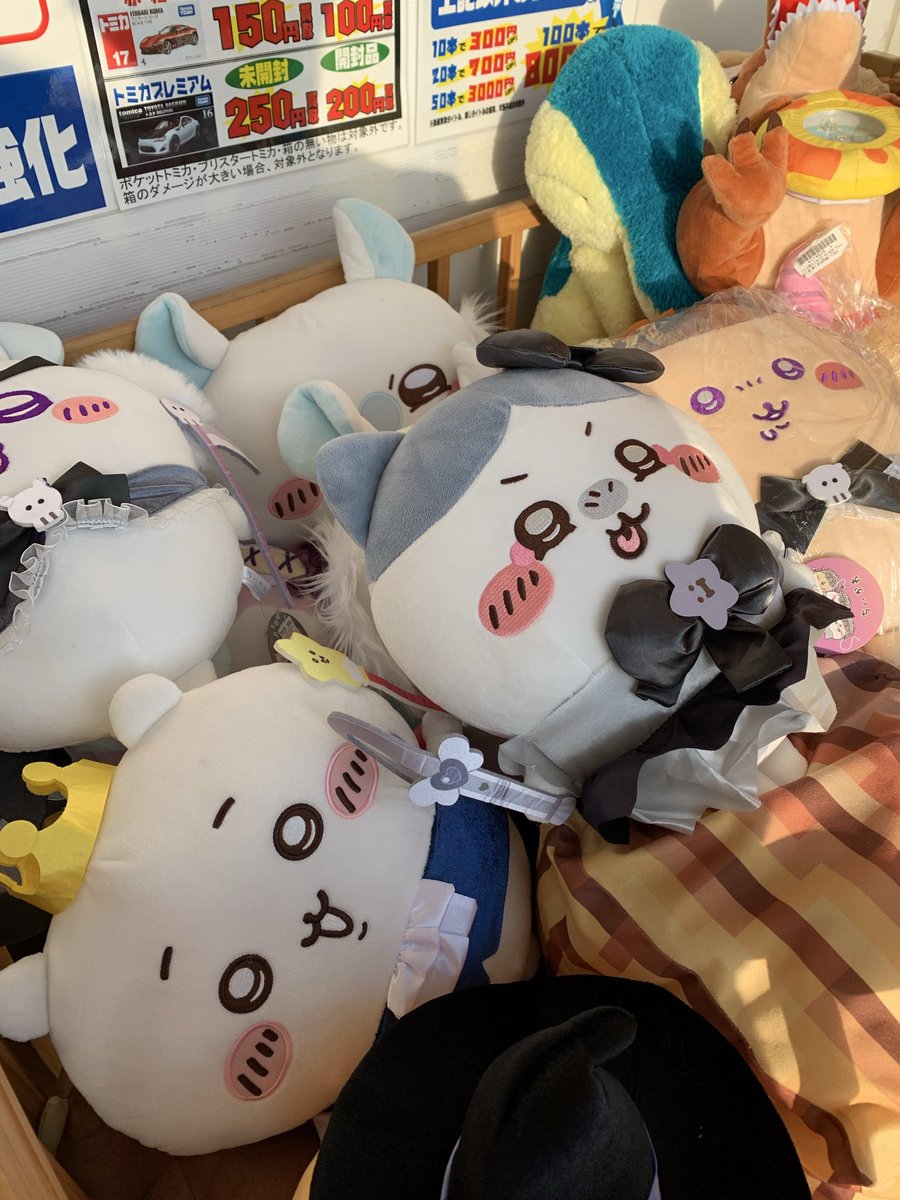 ぬいぐるみ販売価格値下げ中‼️ ちいかわも沢山います！ 数に限りが