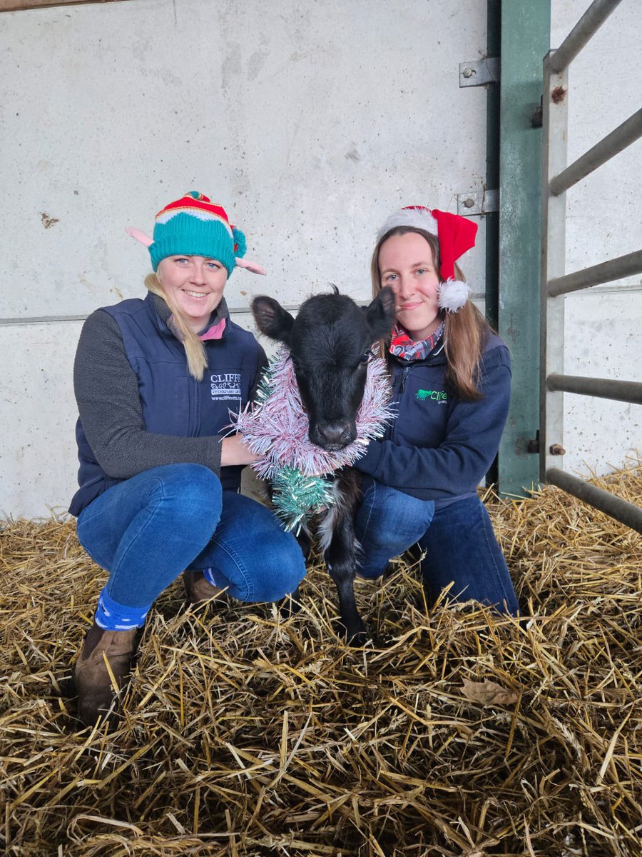 Christmas Opening Hours 🎄 🎅🏽 

Normal hours are resumed on the 5th January 2026!
Christmas medication  orders by 22nd Dec please to allow us time to process. For the New Year, order by Monday 29th. 
For emergencies, please contact 01273 473232 (opt.2) as normal. Merry Christmas