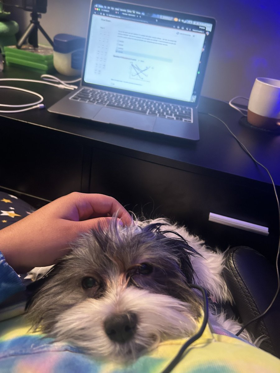 Kath🌈 (@katherineagr) on Twitter photo 