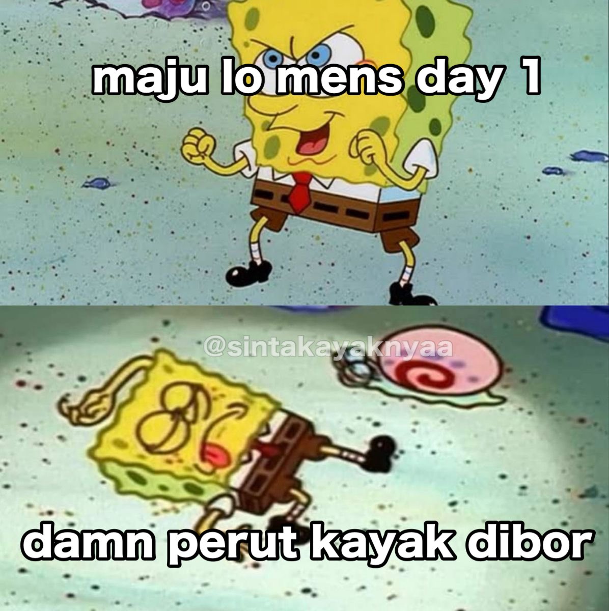 sintakayaknyaa's tweet image. 