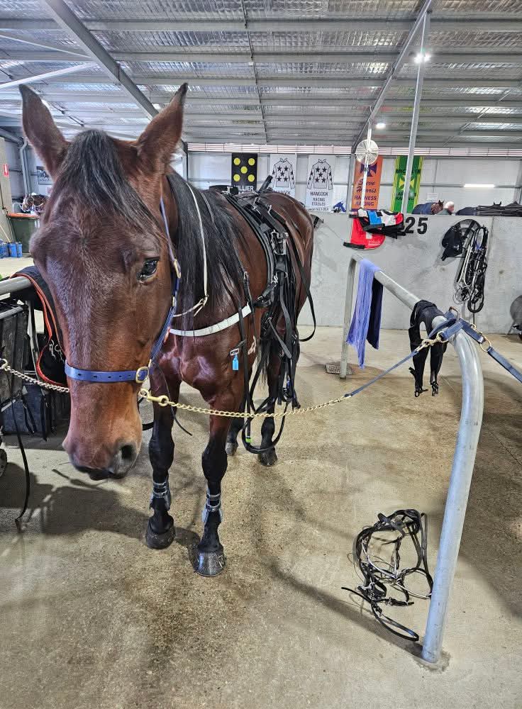 Narrandera Race Club tweet media