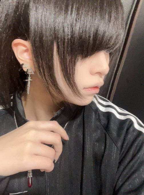 アニランドのツイート