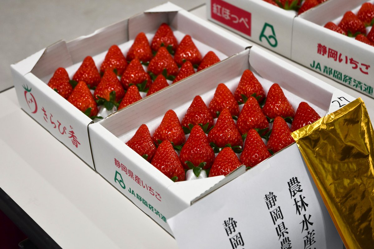 本日は #静岡いちご の品評会が開催されています！県内各地から「紅