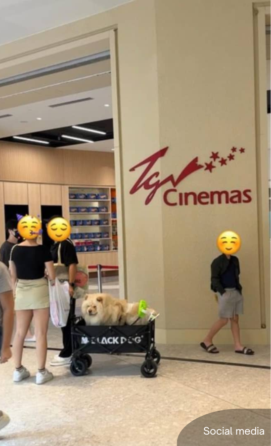 NewsBFM's tweet image. Sunway Square Mall has reversed its pet-friendly policy, banning pets in its enclosed indoor areas following a directive from the Selangor government.

Pets are now only allowed in the designated outdoor pet-friendly park, Squarrel's Playground, located at Sunway South Quay Lake.…