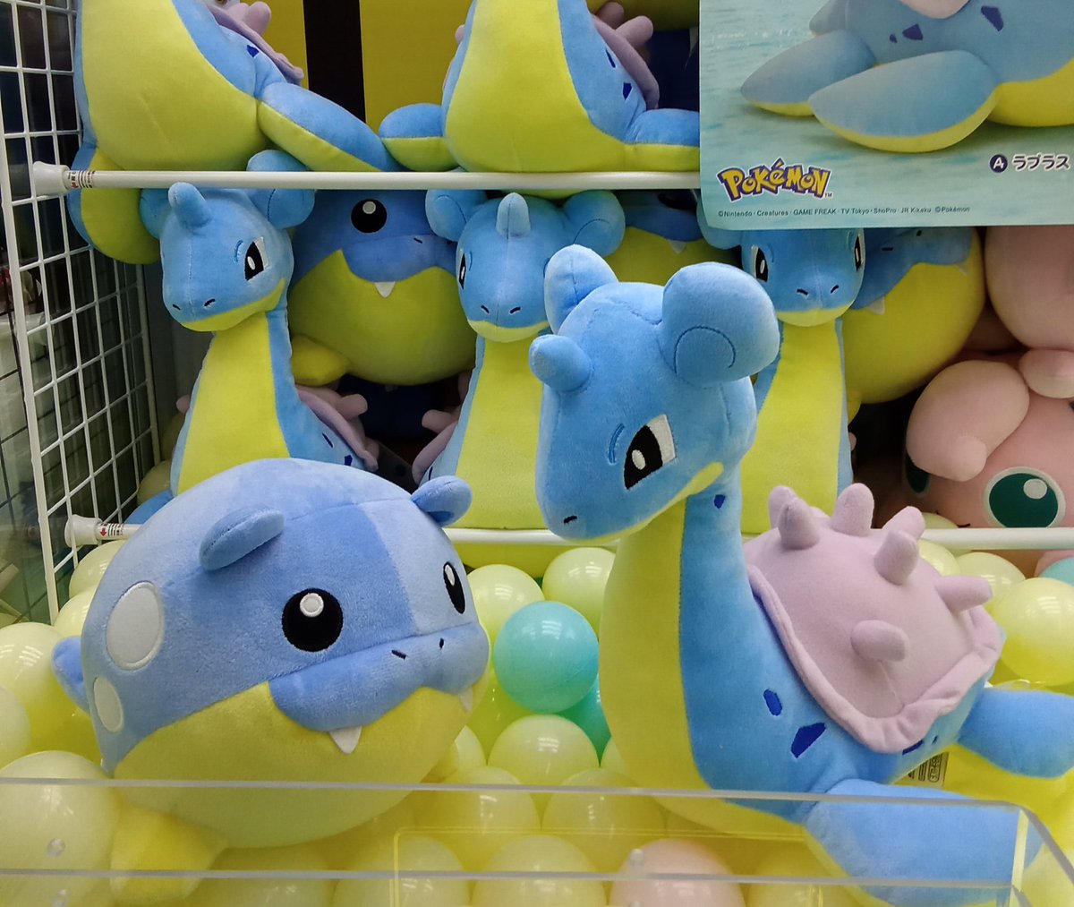 ポケットモンスター もふぐっとぬいぐるみ~ラプラス~タマザラシ 入荷