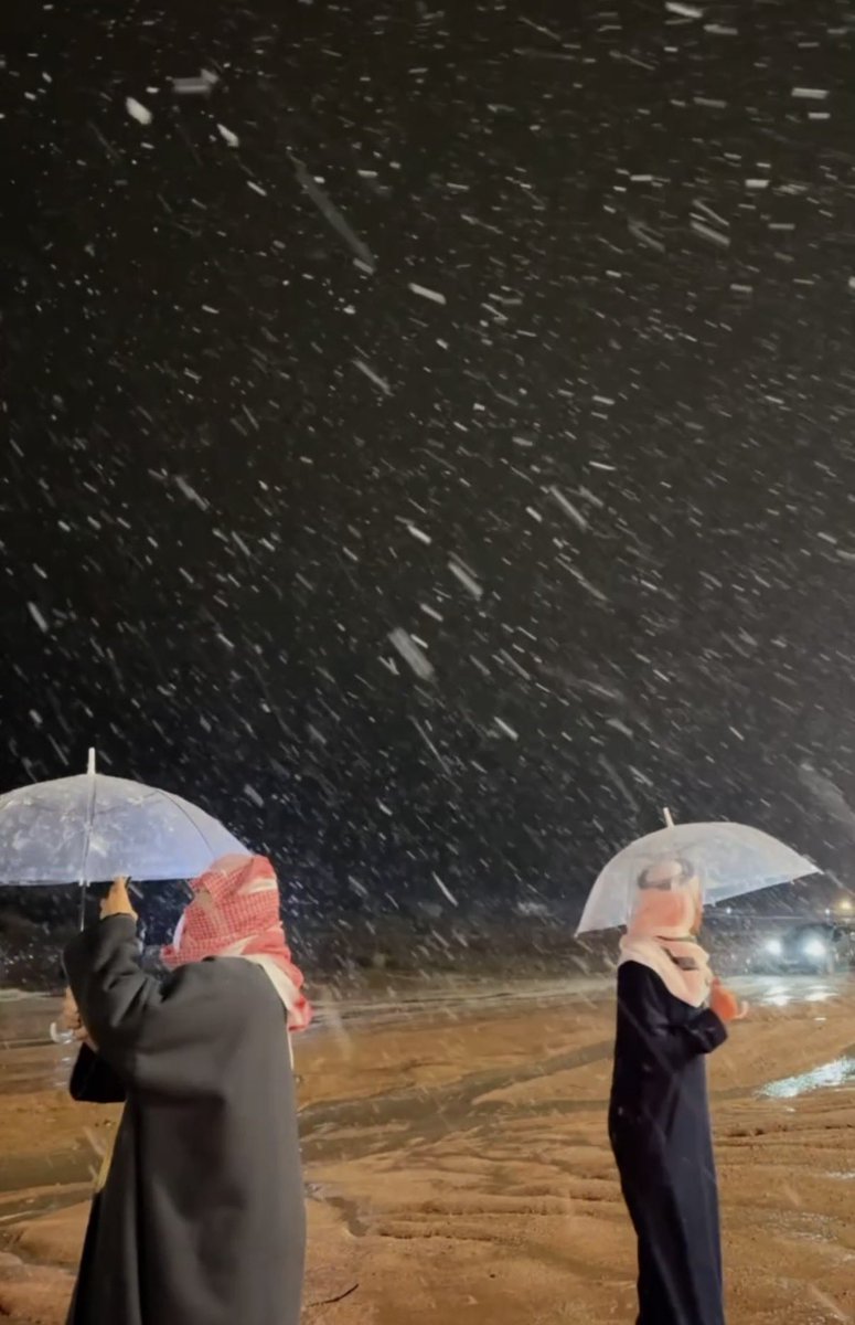 أمانة منطقة حائل tweet media