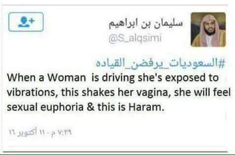 …and I thought ‘my’ complaint about female drivers was a little risqué… gosh!